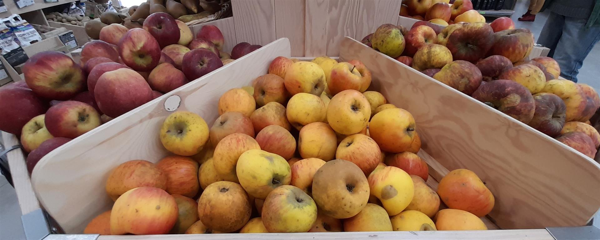 La pomme du coteau La pomme du coteau
