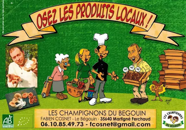 Les champignons du Bégouin